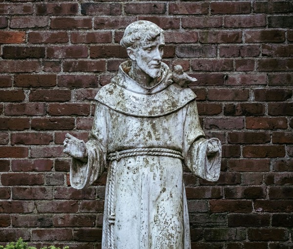 Rijk en arm | jubileumjaar H. Franciscus