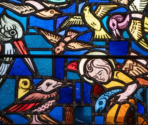 Bijzondere beschermheilige | jubileumjaar H. Franciscus