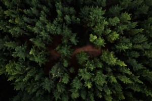 Kerk en klimaat: zorgen vanuit de Schepping