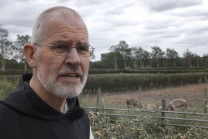 Vegetarische monniken met varkens