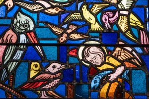 Bijzondere beschermheilige | jubileumjaar H. Franciscus
