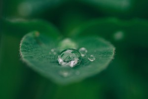 Paus Franciscus over water en woestijn