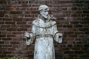 Rijk en arm | jubileumjaar H. Franciscus
