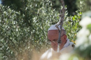 Laudato si’: Wat is het verschil tussen de schepping en de natuur?